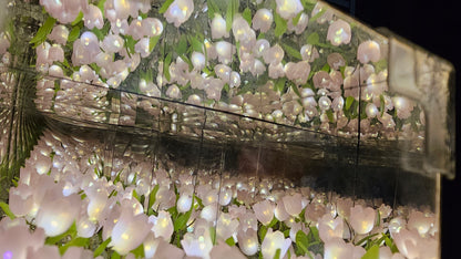 NoVa Tulip Flower Sea Cube Night Lamp